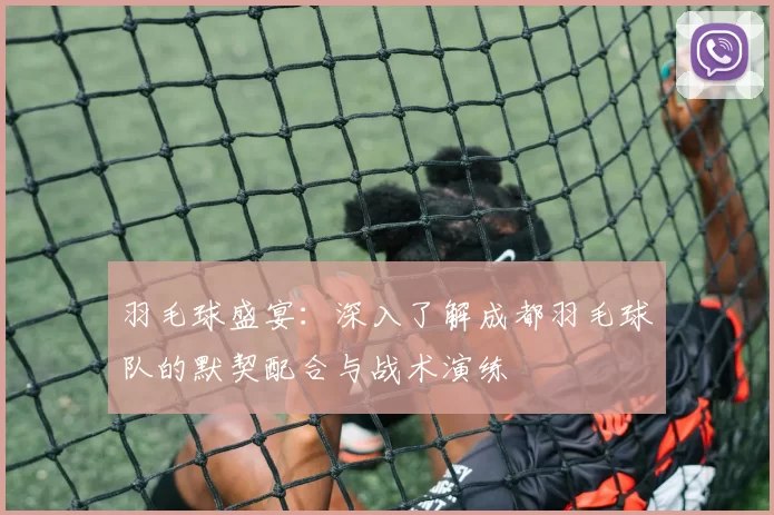 羽毛球盛宴：深入了解成都羽毛球队的默契配合与战术演练